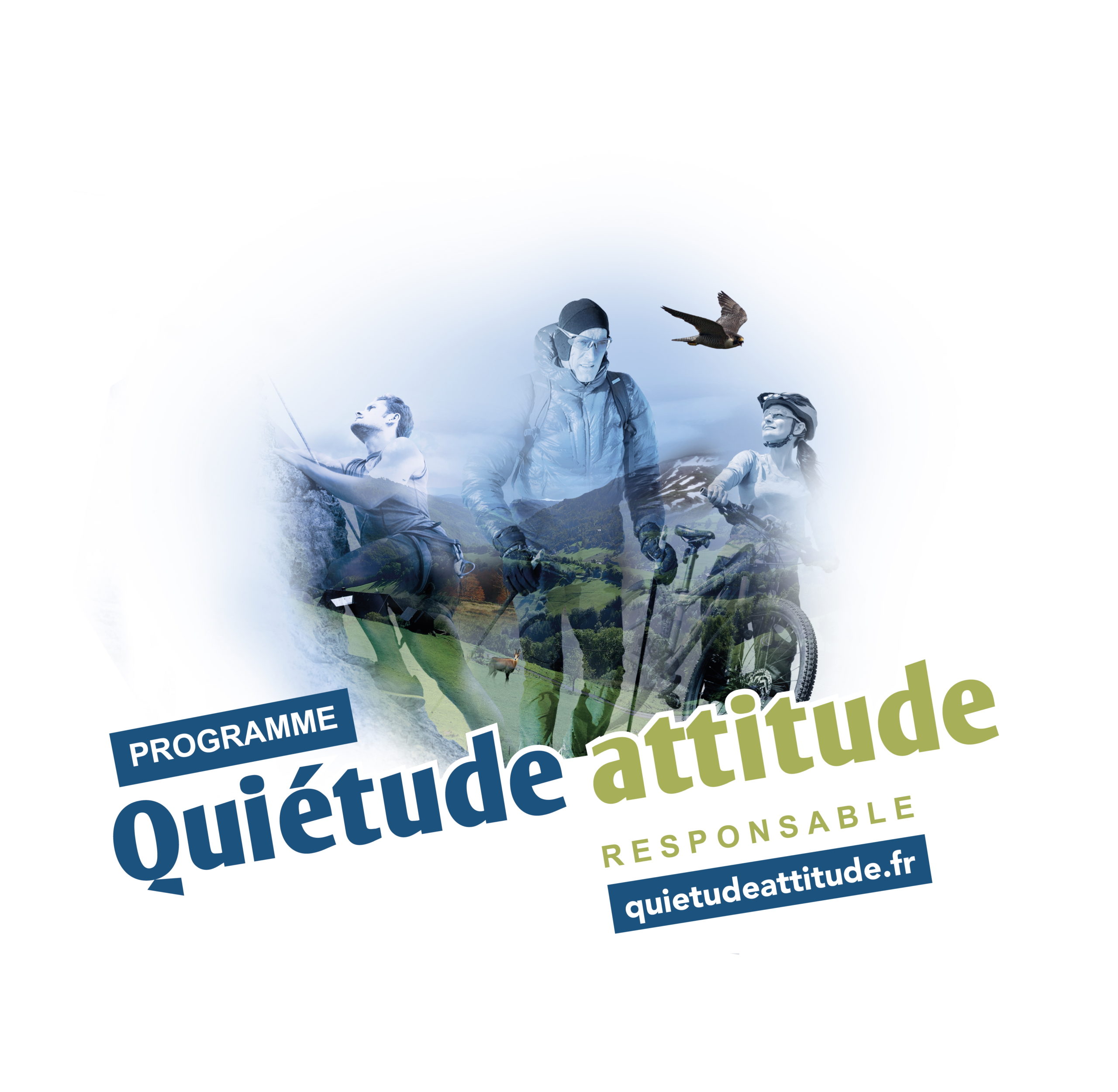 Logo Quietude attitude