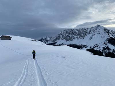 251129 Alpicimes photo web 2