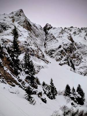 251129 Alpicimes photo web 4